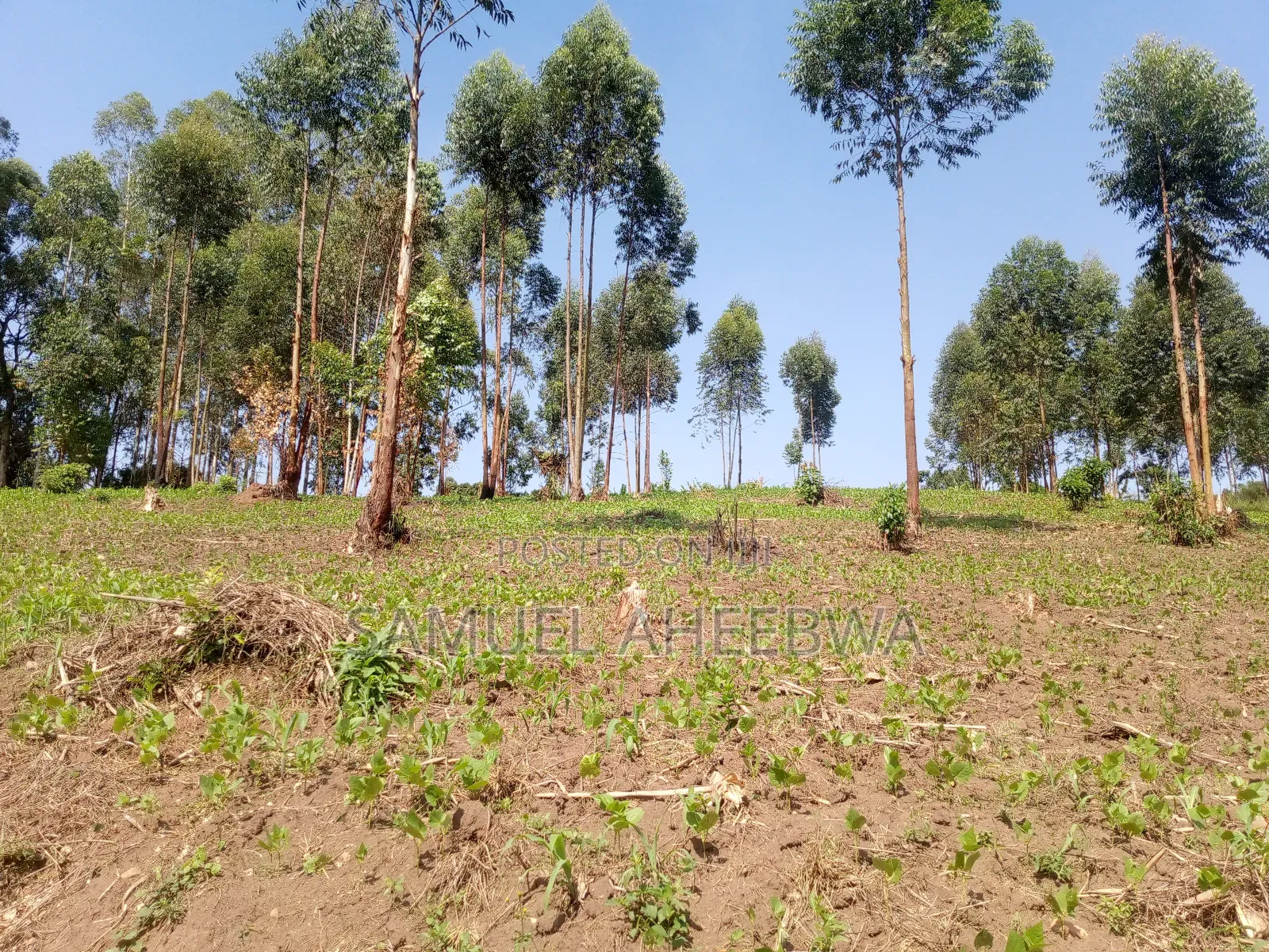 4 Acre of Land for Sale