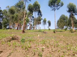 4 Acre of Land for Sale