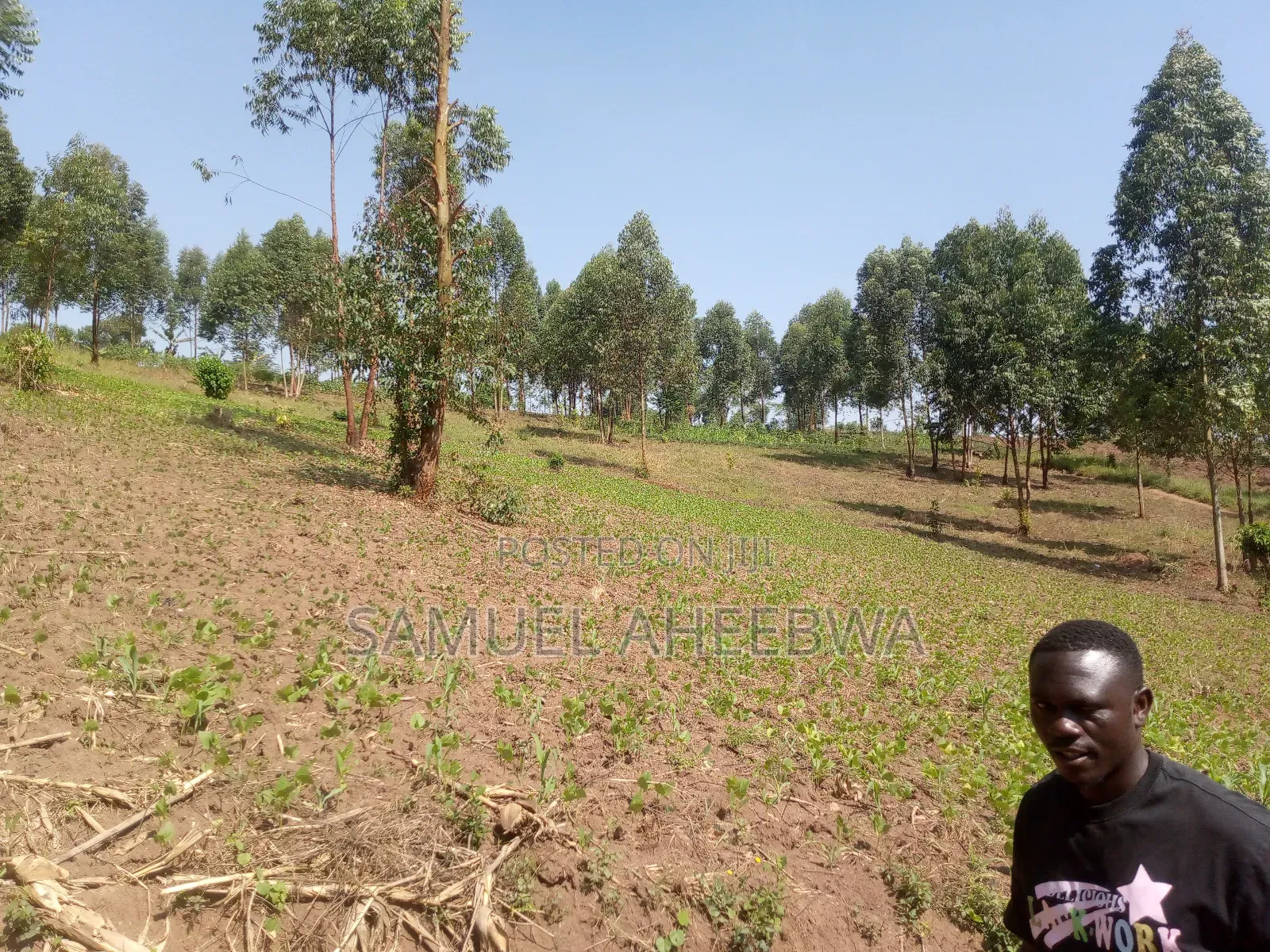 4 Acre of Land for Sale