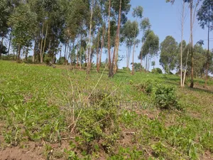 4 Acre of Land for Sale