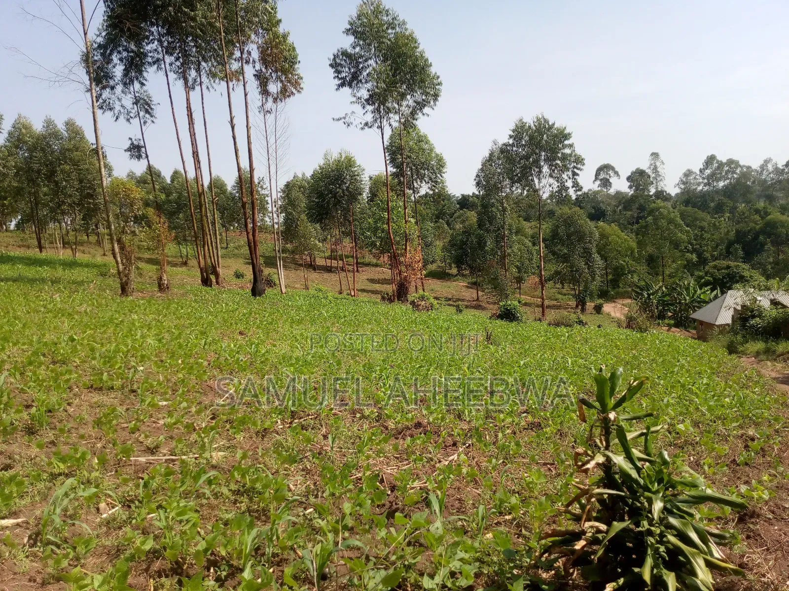 4 Acre of Land for Sale