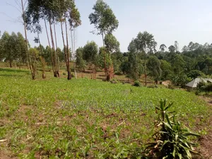 4 Acre of Land for Sale