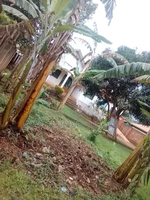4bdrm Bungalow in Naaliya Estate, Central Division for sale