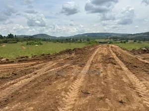 Kyarwabuganda Estate