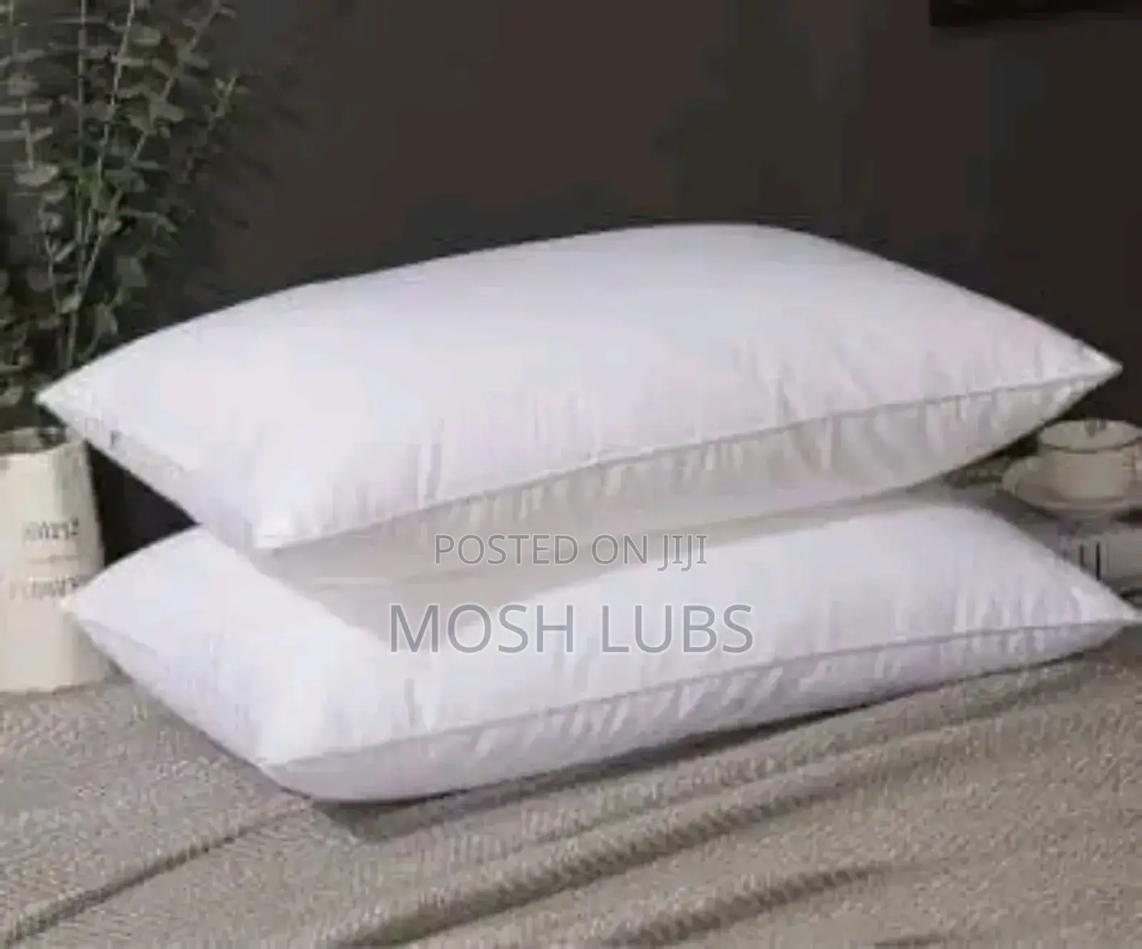 Pure Cotton Pillows{Super Soft}