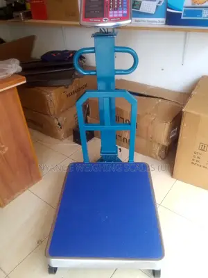 Heavy Duty T.C.S Weighing Scale 600kg Digital Platform Weighing Scale