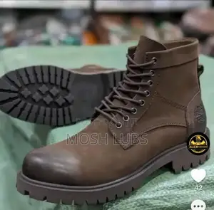 Cat Suedes Men Boots