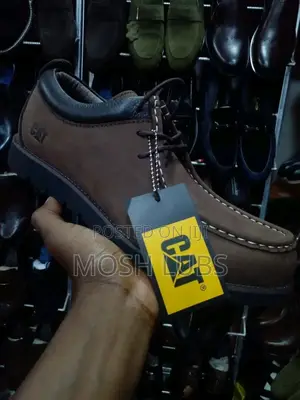 Cat Suedes Men Boots