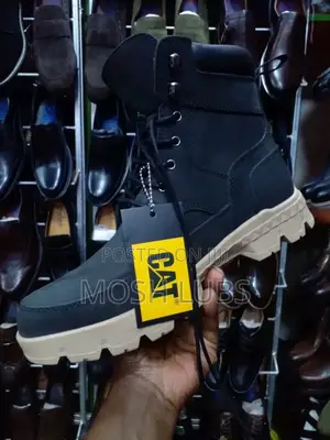 Cat Suedes Men Boots