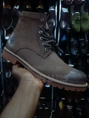 Cat Suedes Men Boots