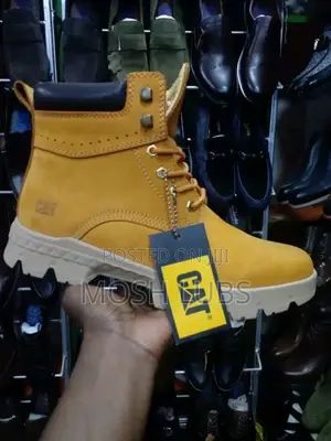 Cat Suedes Men Boots