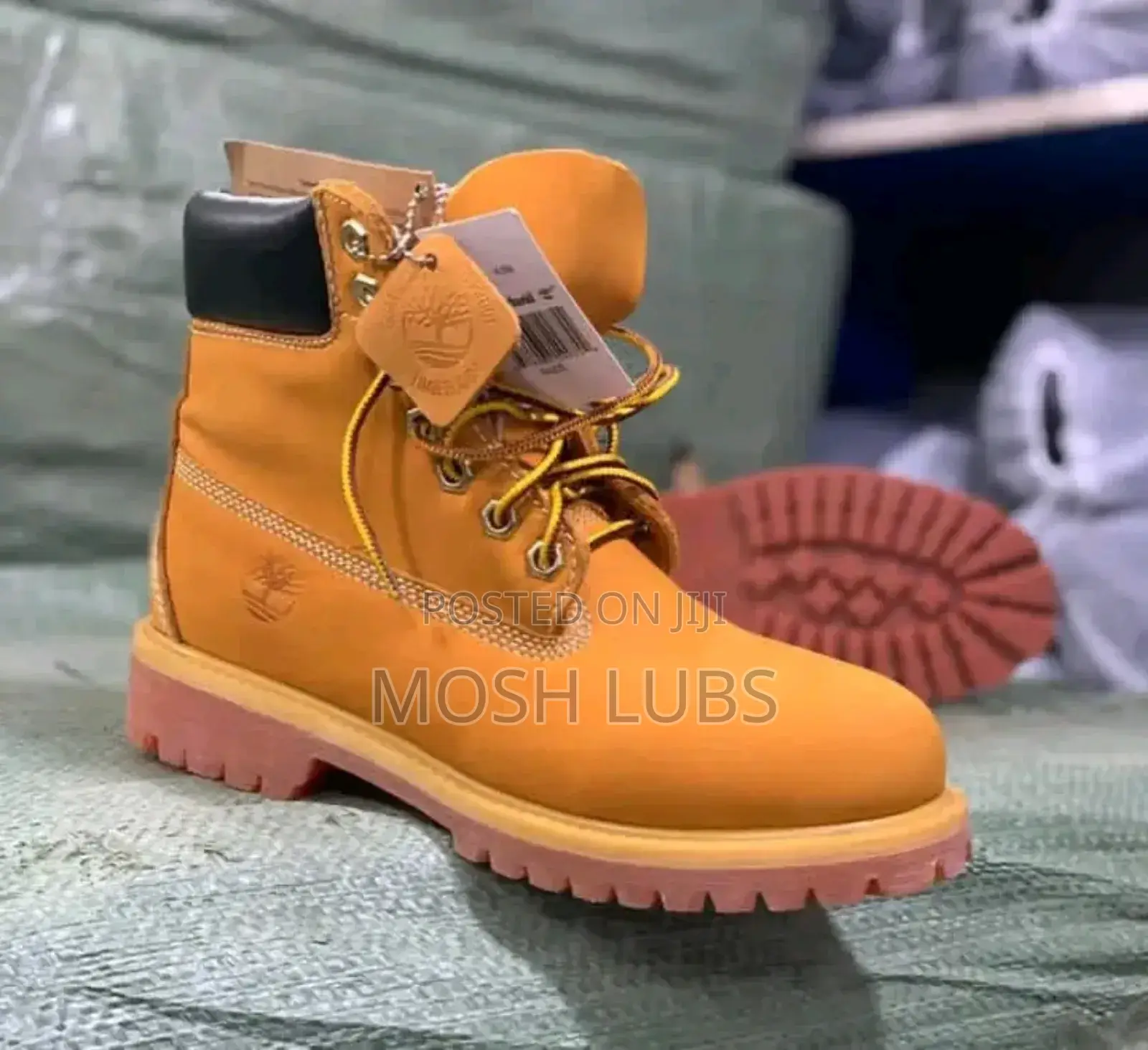 Cat Suedes Men Boots