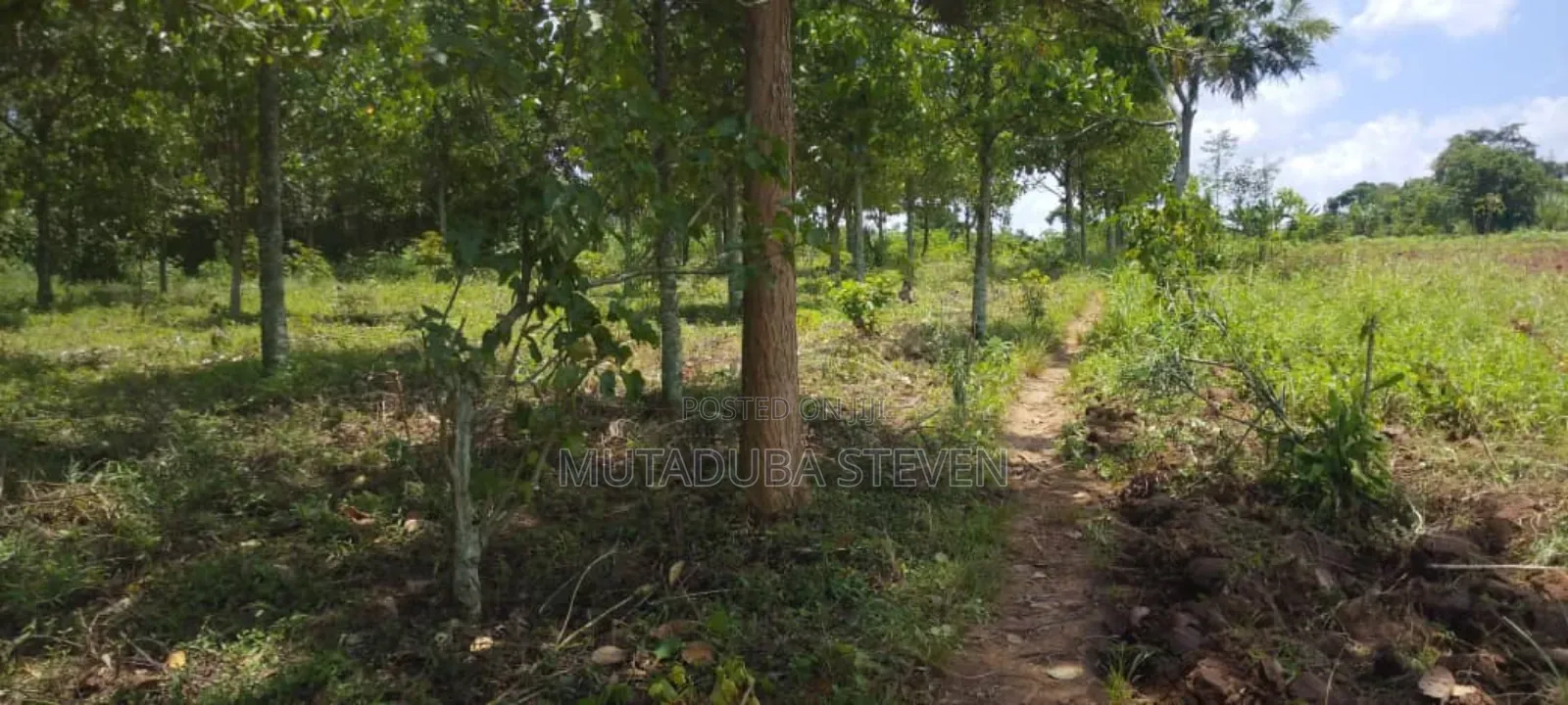 Land for Sale in Busowoko