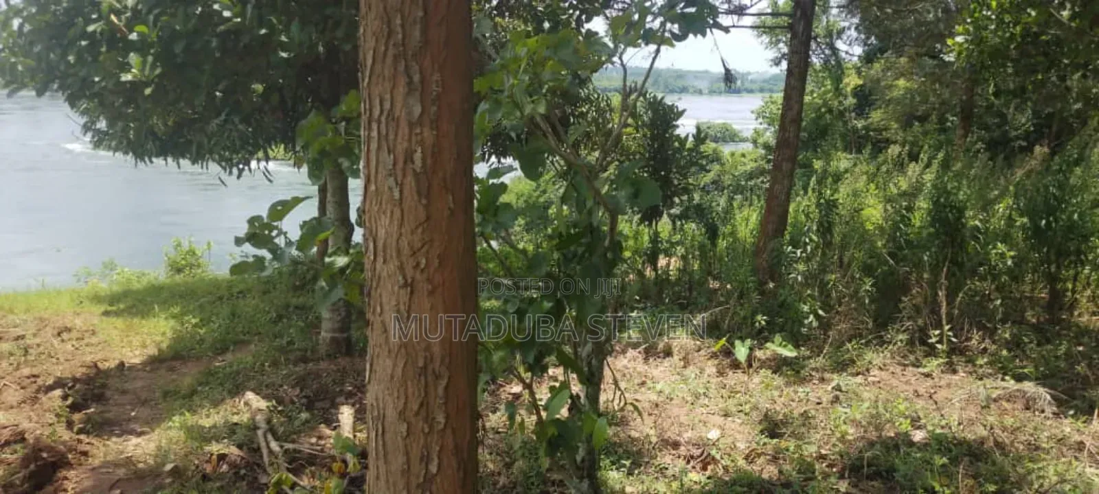 Land for Sale in Busowoko