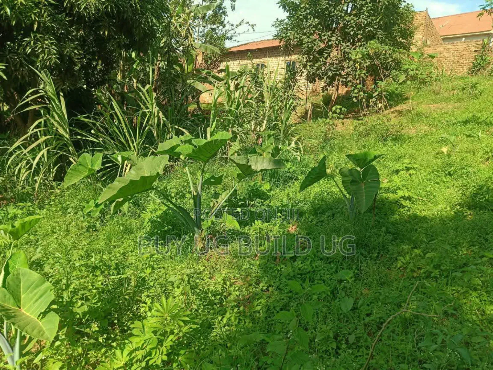 3acres of Land for Sale at 35m Ugx Per Acre in Matuga Semuto Mawale