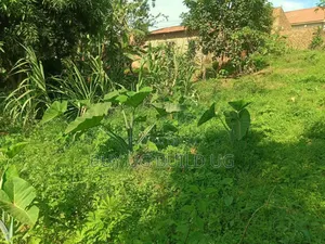 3acres of Land for Sale at 35m Ugx Per Acre in Matuga Semuto Mawale