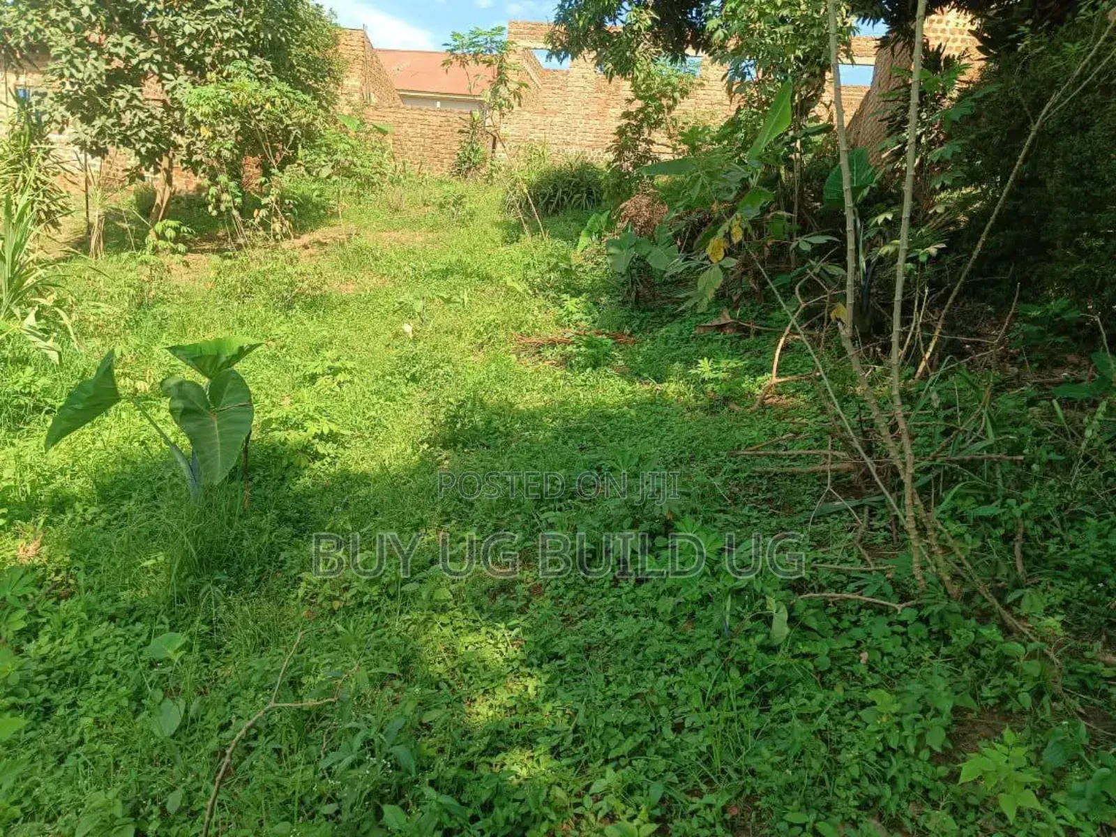 3acres of Land for Sale at 35m Ugx Per Acre in Matuga Semuto Mawale