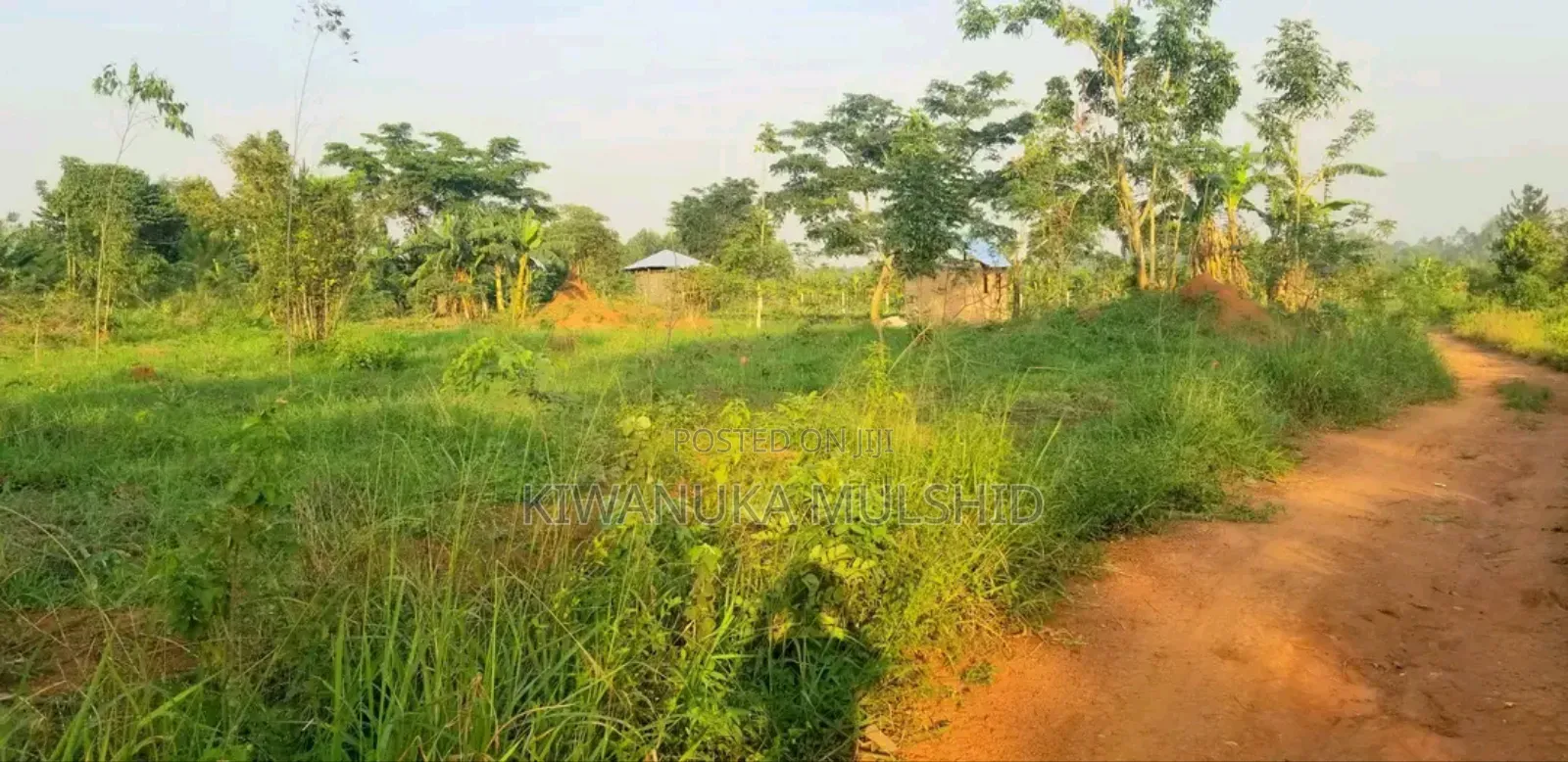 Plots on Sale in Luwero Tow