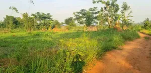 Plots on Sale in Luwero Tow