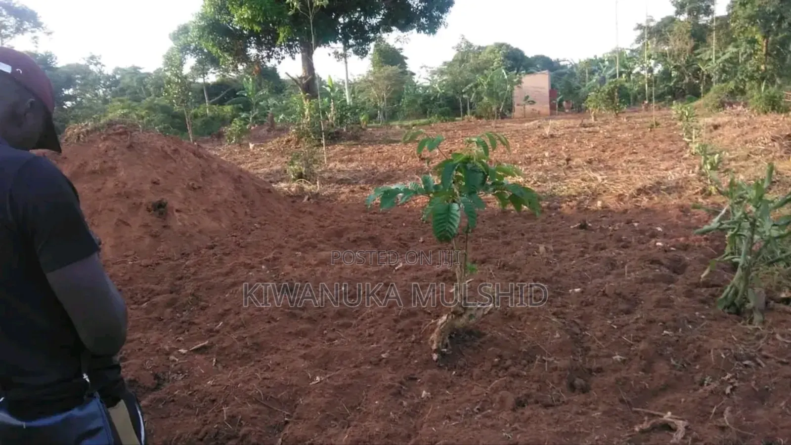 Plots on Sale in Luwero Tow