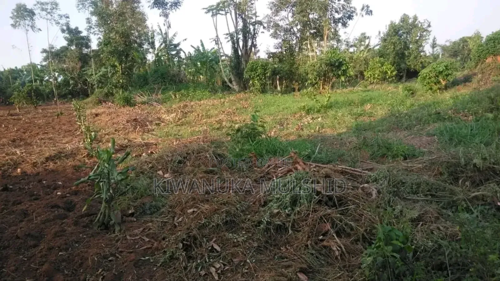 Plots on Sale in Luwero Tow