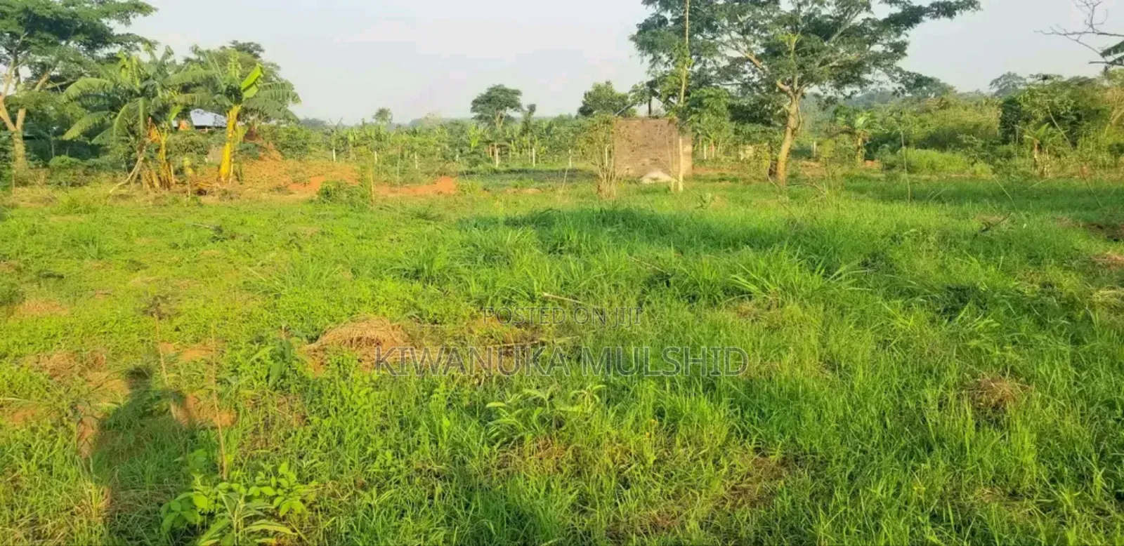 Plots on Sale in Luwero Tow