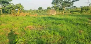 Plots on Sale in Luwero Tow
