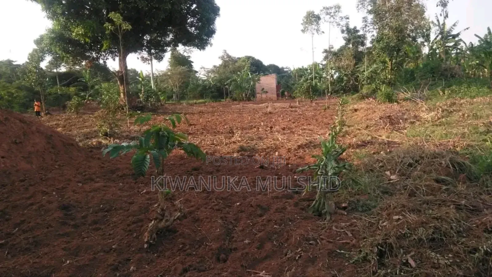 Plots on Sale in Luwero Tow