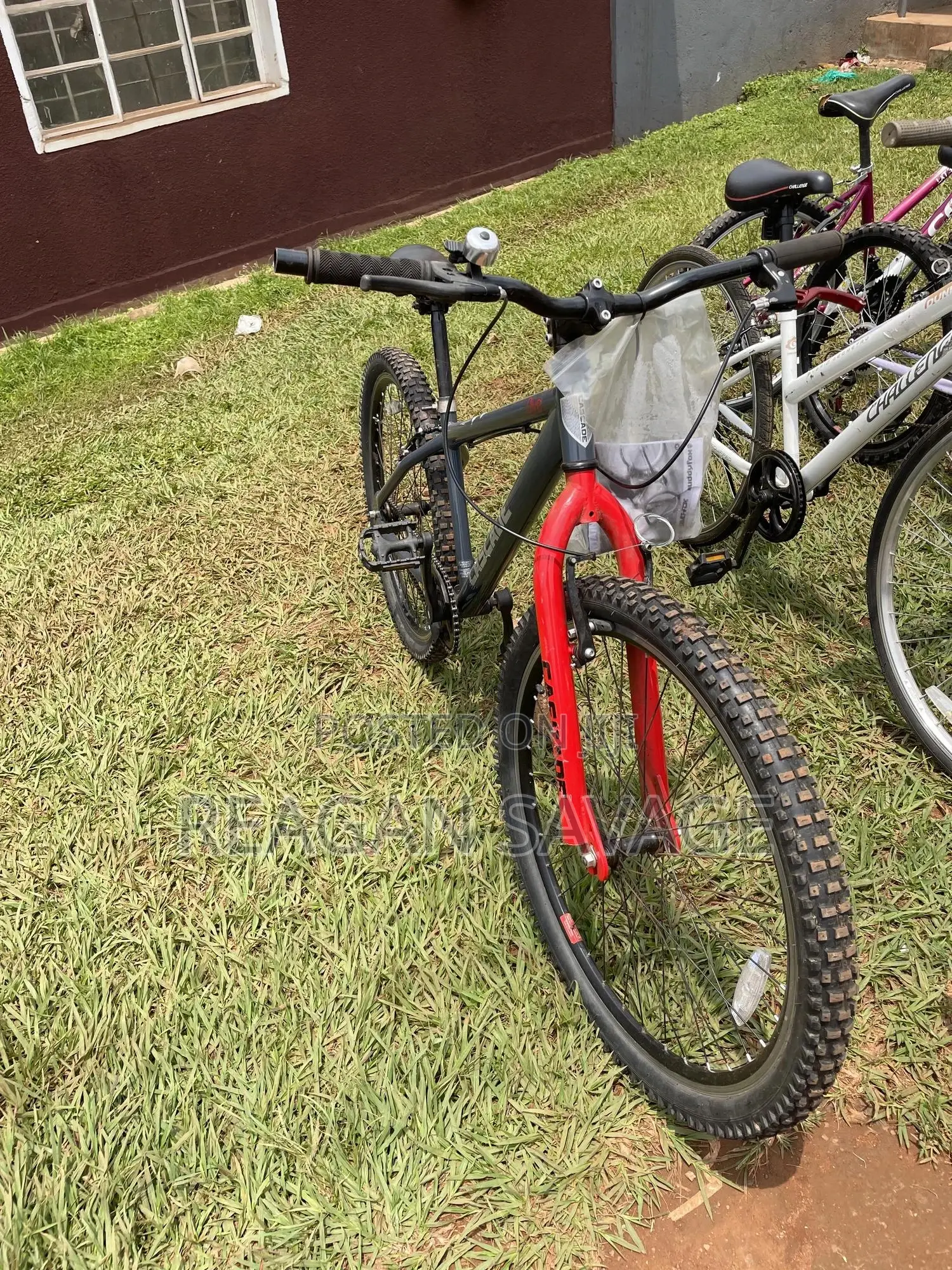 Cascade Mountain Bike