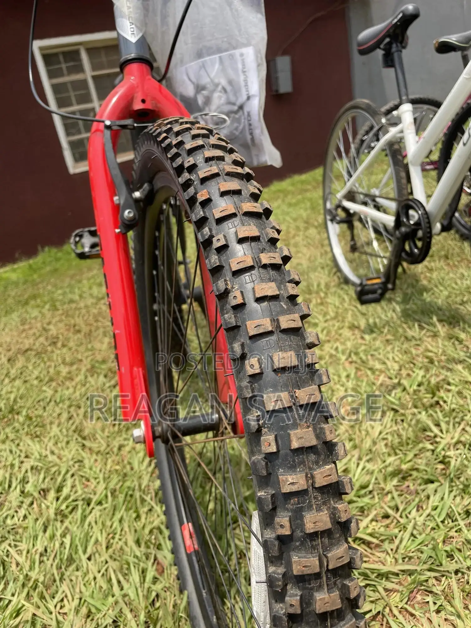 Cascade Mountain Bike