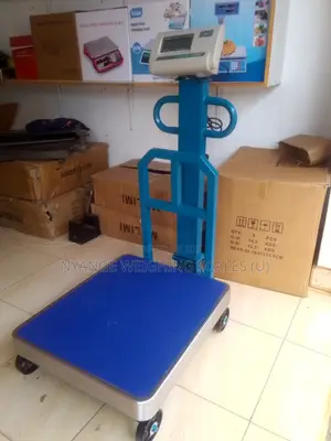 New Arrival Digital Weighing Scale 600kg Weigh Digital Weighing Scale