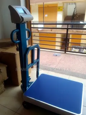Digital Weighing Scale 600kg Weigh Factory Digital Weighing Scale
