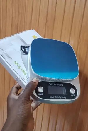 Portable Kitchen Weighing Scale 10kg Weigh Accurate Weighing Scale