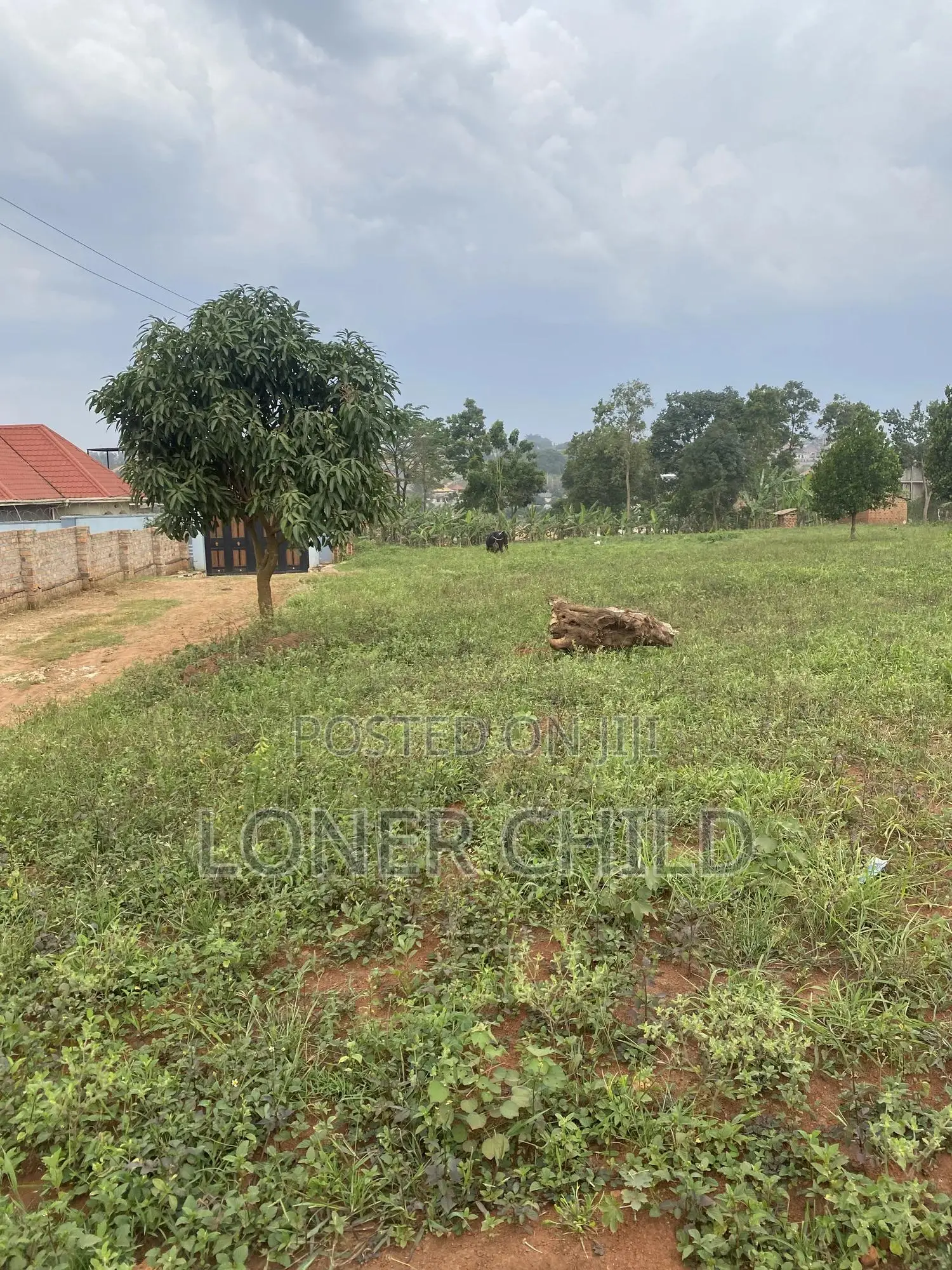 Land in Gayaza - Manyangwa