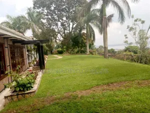 4bdrm House in Munyonyo, Makindye for rent