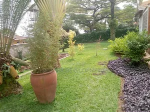 4bdrm House in Munyonyo, Makindye for rent