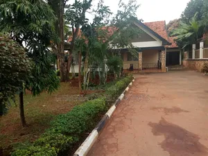 3bdrm House in Muyenga, Makindye for rent