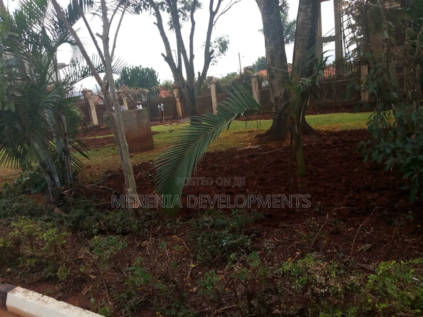 3bdrm House in Muyenga, Makindye for rent