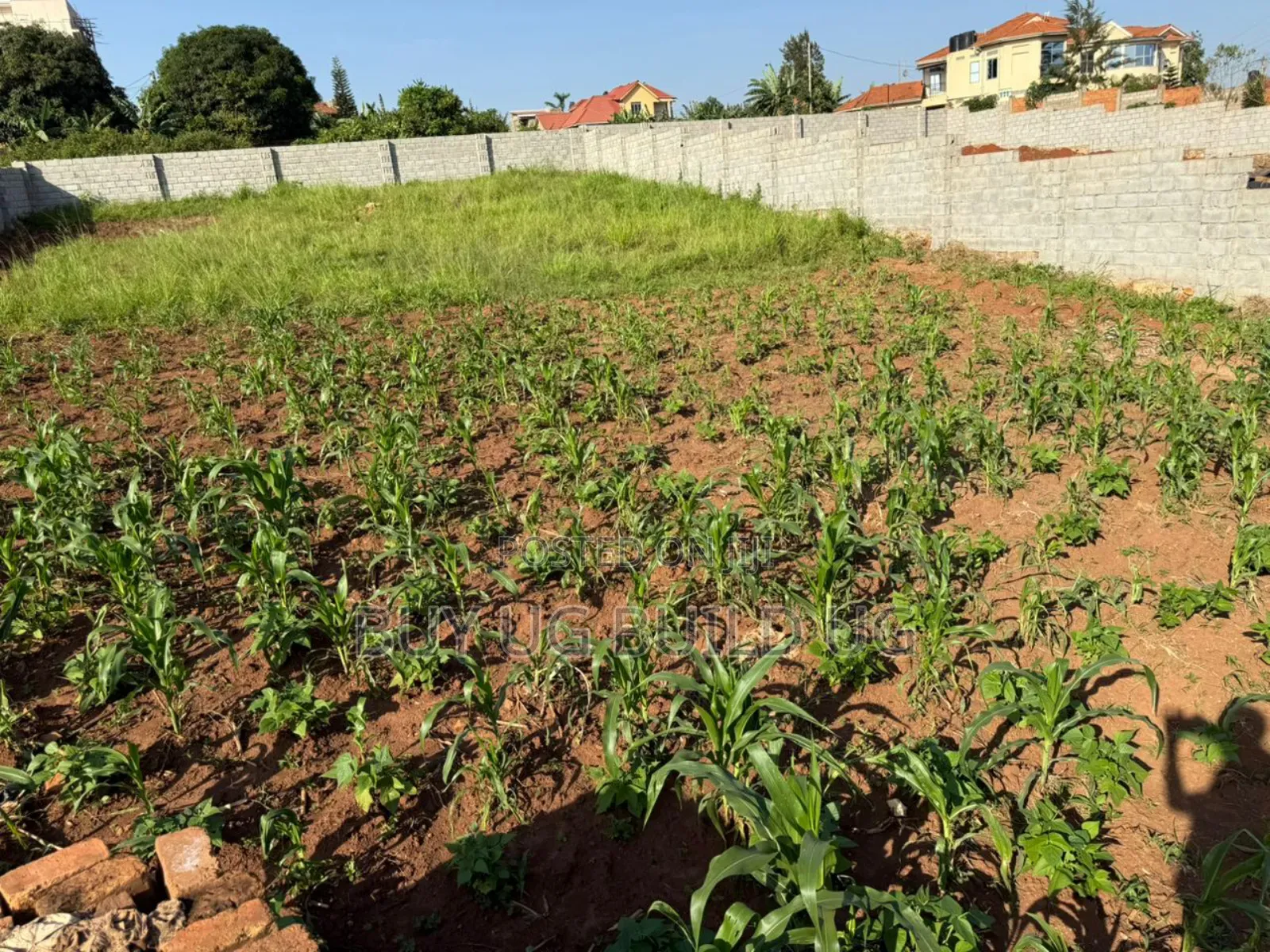 25 Decimals Fenced in Kira 280m Private Mailo Land Title