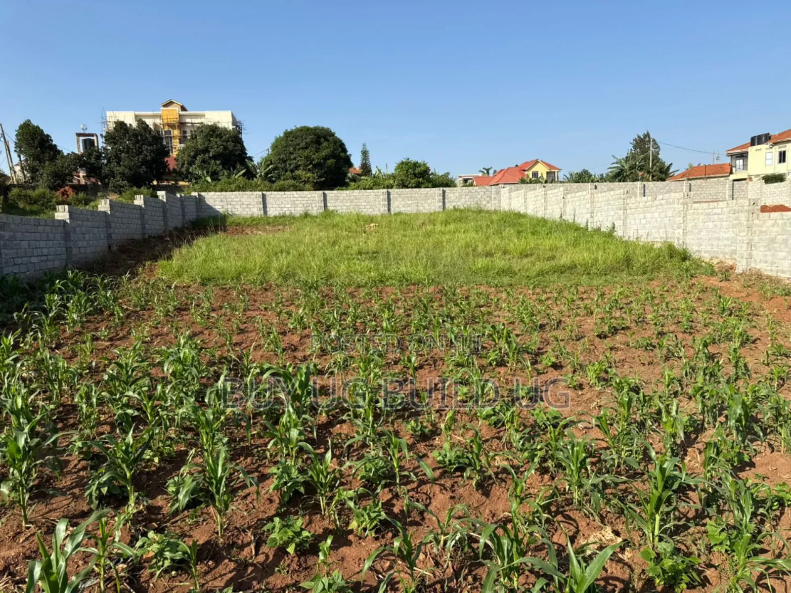 25 Decimals Fenced in Kira 280m Private Mailo Land Title
