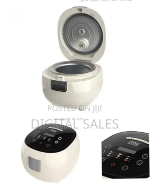 Winningstar Modern Compact Electric Rice Cooker