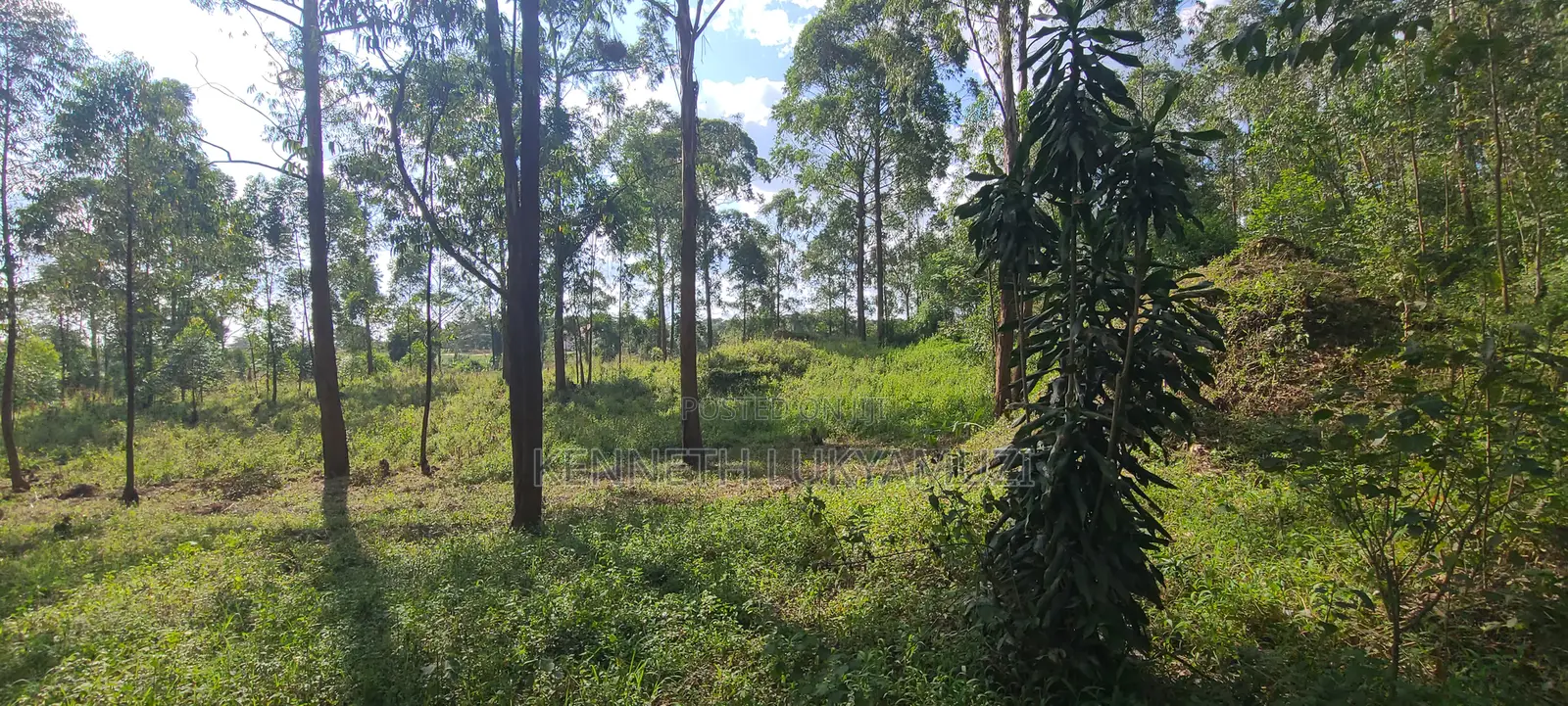 Prime 2 Acres Land For Sale