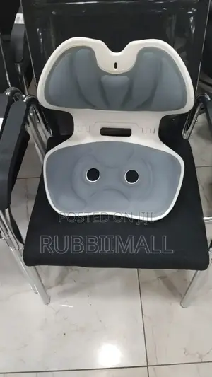 Ergonomic Lumbar Support Posture Correction