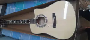 Acoustic Guitar (Powered)