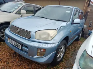 Toyota RAV4 2004 Blue