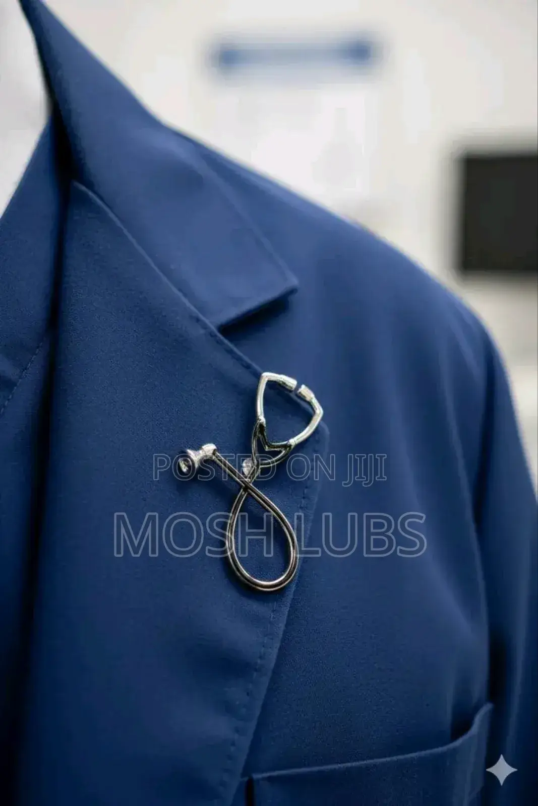 Suit Accessories{Brooches}