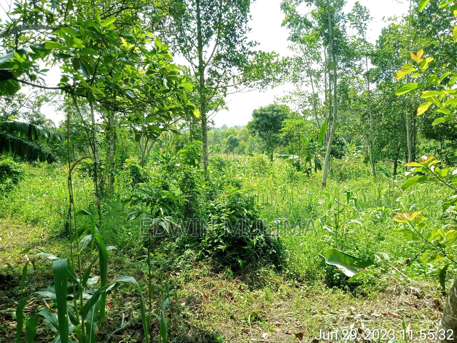 5 Acres of Land Private Milo