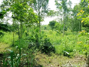3 Acres of Land Private Milo