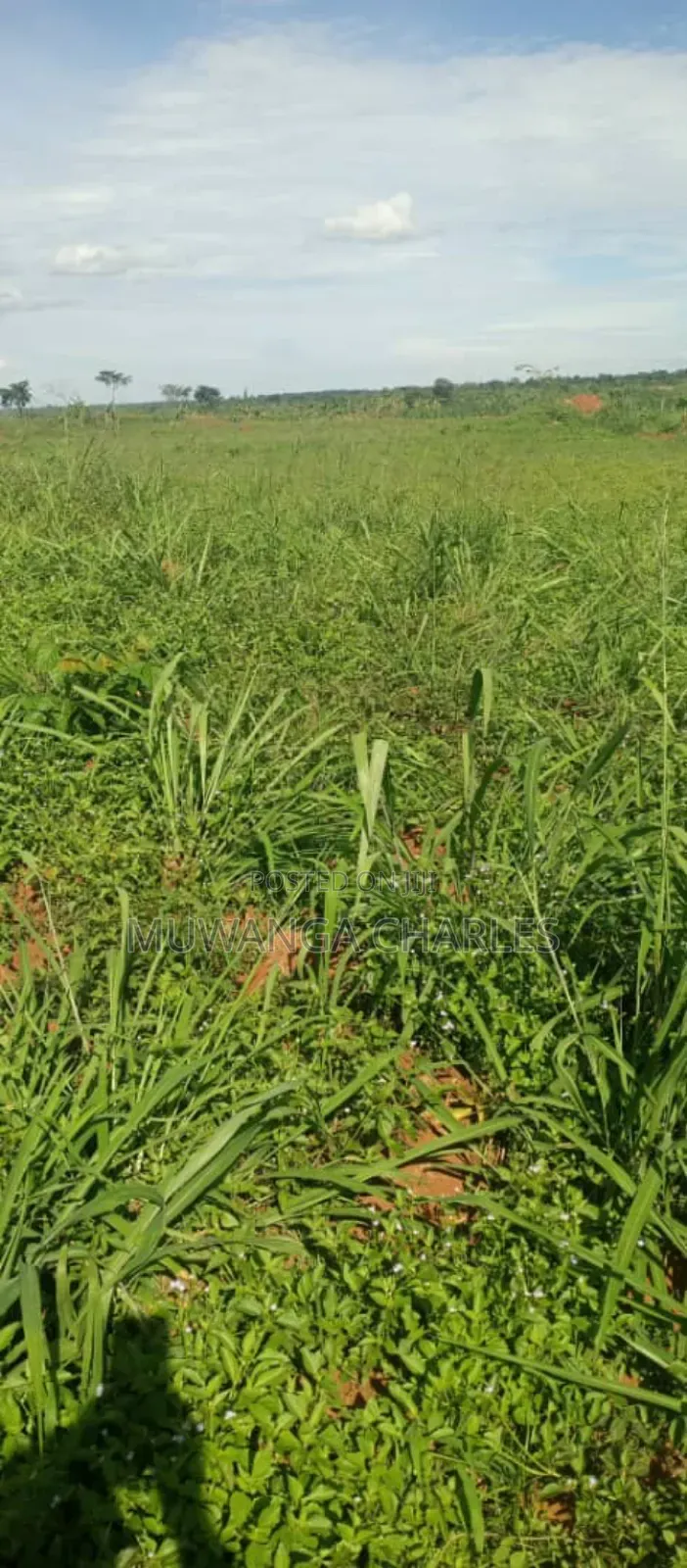 Land on Sale in Nakasongola 1