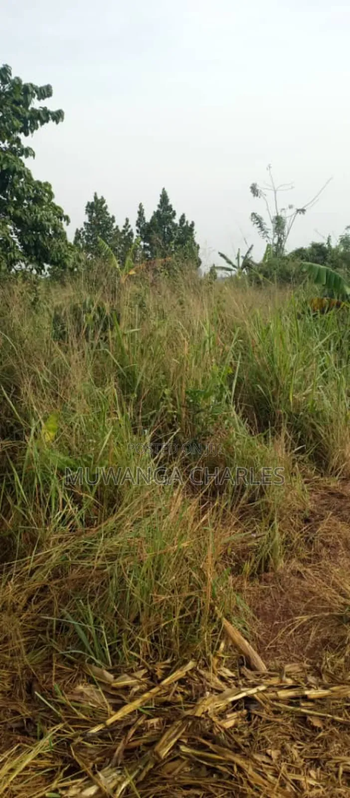 Land on Sale in Nakasongola 1
